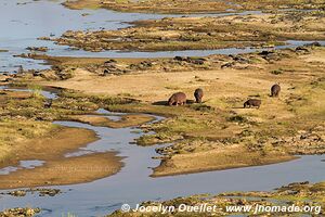 Kruger National Park - South Africa