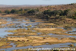 Parc national Kruger - Afrique du Sud