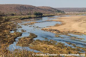 Parc national Kruger - Afrique du Sud