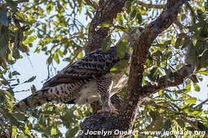 Kruger National Park - South Africa