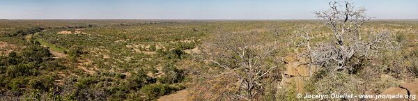 Kruger National Park - South Africa