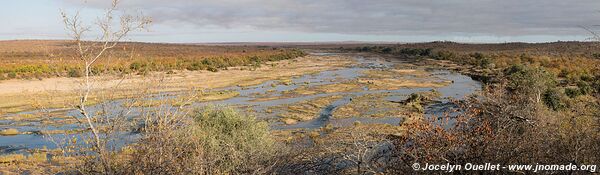 Parc national Kruger - Afrique du Sud