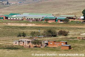 Basses terres - uKhahlamba-Drakensberg - Afrique du Sud