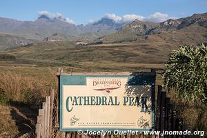 Cathedral Peak area - uKhahlamba-Drakensberg - South Africa