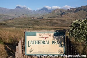 Zone de Cathedral Peak - uKhahlamba-Drakensberg - Afrique du Sud