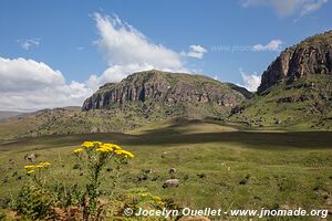 Injesuthi area - uKhahlamba-Drakensberg - South Africa