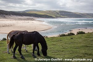 Bulungula - Wild Coast - Afrique du Sud