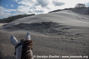 Bulungula - Wild Coast - Afrique du Sud