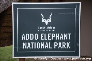 Parc national Addo Elephant - Afrique du Sud