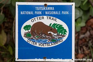Sentier de la loutre - Parc national de Tsitsikamma - Afrique du Sud