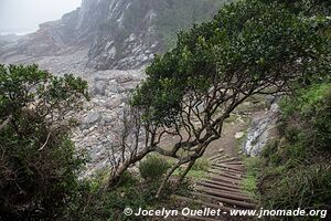 Otter Trail - Tsitsikamma National Park - South Africa