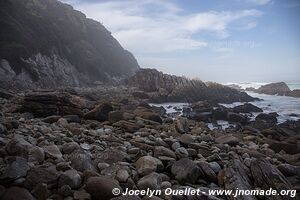 Otter Trail - Tsitsikamma National Park - South Africa