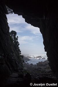 Sentier de la loutre - Parc national de Tsitsikamma - Afrique du Sud