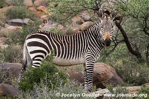 Parc national de Karoo - Afrique du Sud