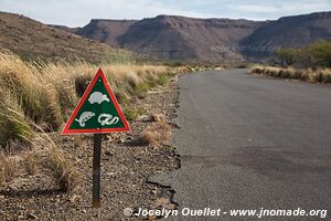 Parc national de Karoo - Afrique du Sud