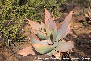 Camdeboo National Park - South Africa