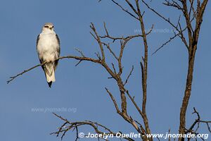 Camdeboo National Park - South Africa