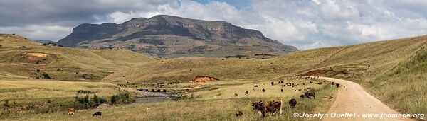 Basses terres - uKhahlamba-Drakensberg - Afrique du Sud