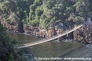 Parc national de Tsitsikamma - Afrique du Sud