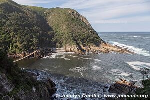 Tsitsikamma National Park - South Africa