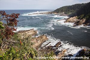 Tsitsikamma National Park - South Africa