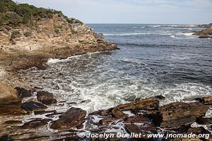 Tsitsikamma National Park - South Africa