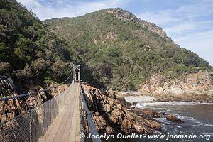 Tsitsikamma National Park - South Africa