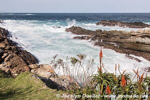 Tsitsikamma National Park - South Africa