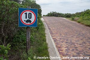 Réserve naturelle Robberg - Garden Route - Afrique du Sud