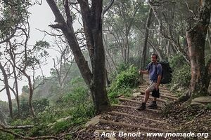 Sentier de la loutre - Parc national de Tsitsikamma - Afrique du Sud