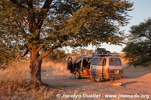 Kgalagadi Transfrontier Park - Botswana