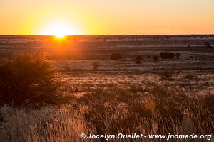 Parc transfrontalier de Kgalagadi - Botswana