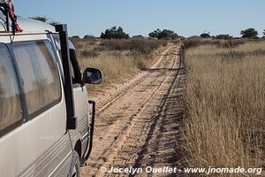Parc transfrontalier de Kgalagadi - Botswana