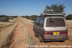 Désert du Kalahari - Botswana