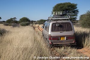 Kalahari Desert - Botswana