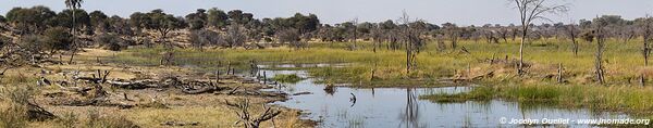 Parc national de Makgadikgadi - Botswana