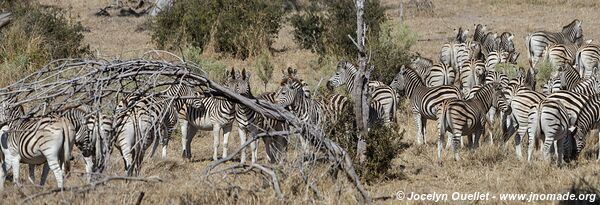 Makgadikgadi National Park - Botswana