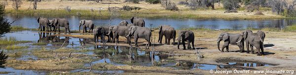 Parc national de Makgadikgadi - Botswana