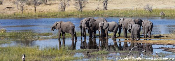 Parc national de Makgadikgadi - Botswana