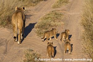 Khutse Game Reserve - Botswana