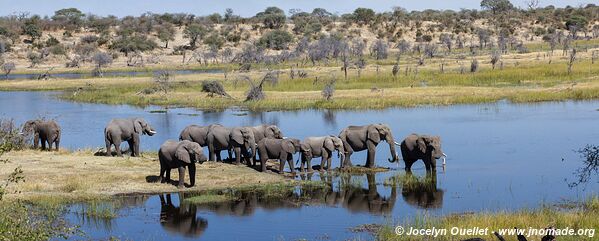 Parc national de Makgadikgadi - Botswana