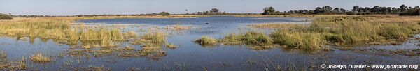 Réserve faunique de Moremi - Botswana