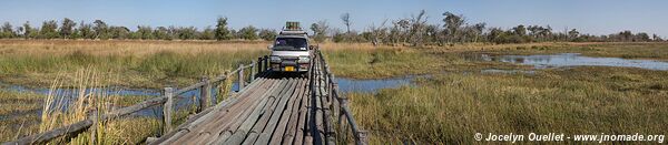 Moremi Game Reserve - Botswana