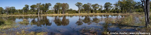 Réserve faunique de Moremi - Botswana