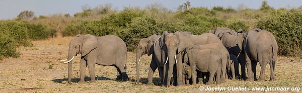 Rivière Chobe - Parc national de Chobe - Botswana