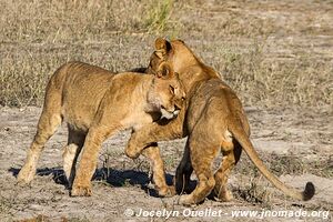 Chobe Riverfront - Chobe National Park - Botswana