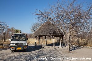 Planète Baobab - Gweta - Botswana