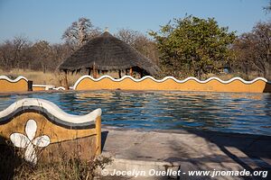 Planet Baobab - Gweta - Botswana