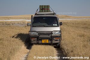 Nwetwe Pan - Botswana