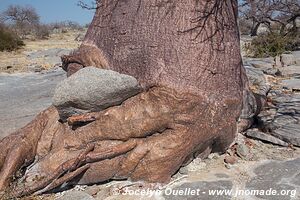 Sua Pan - Botswana